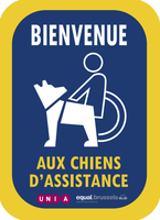 chiens_d_assistance.png