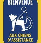 chiens_d_assistance.png