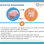 asbhq_-_instestin_neurogene.png