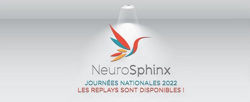 neurosphinx-2022-replays.jpg